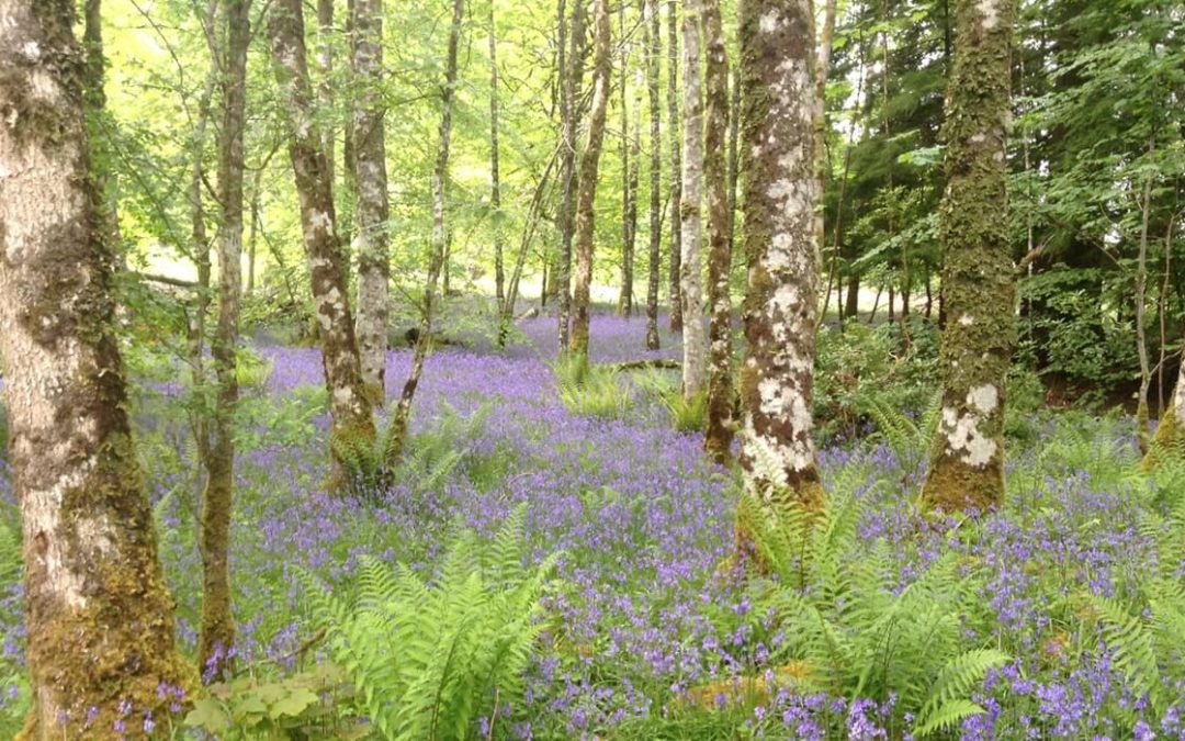 Kintyre Way