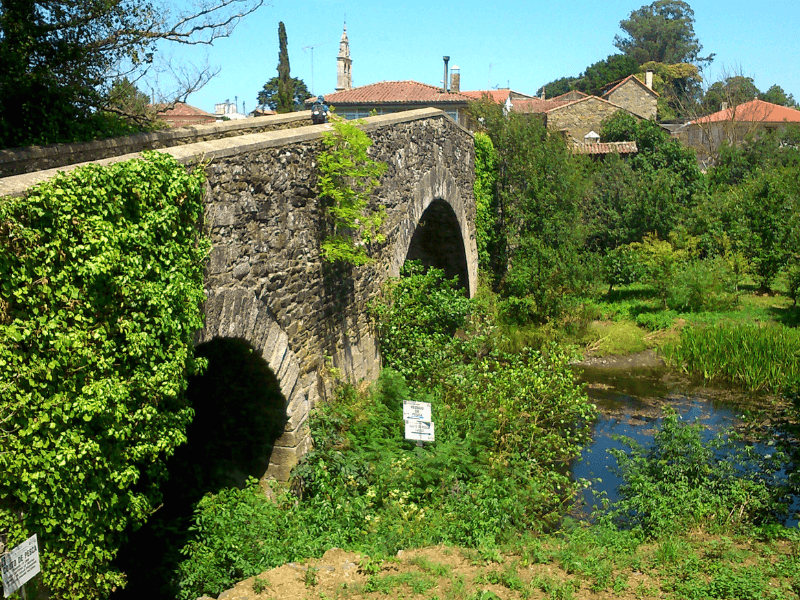Camino Frances bridge